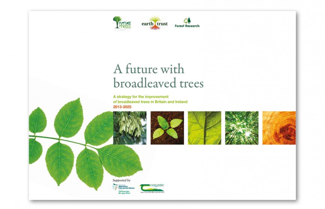 Banyan Design » Future Trees Trust